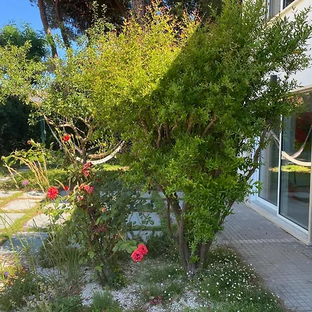 Milina - A Pochi Passi Dal Mare